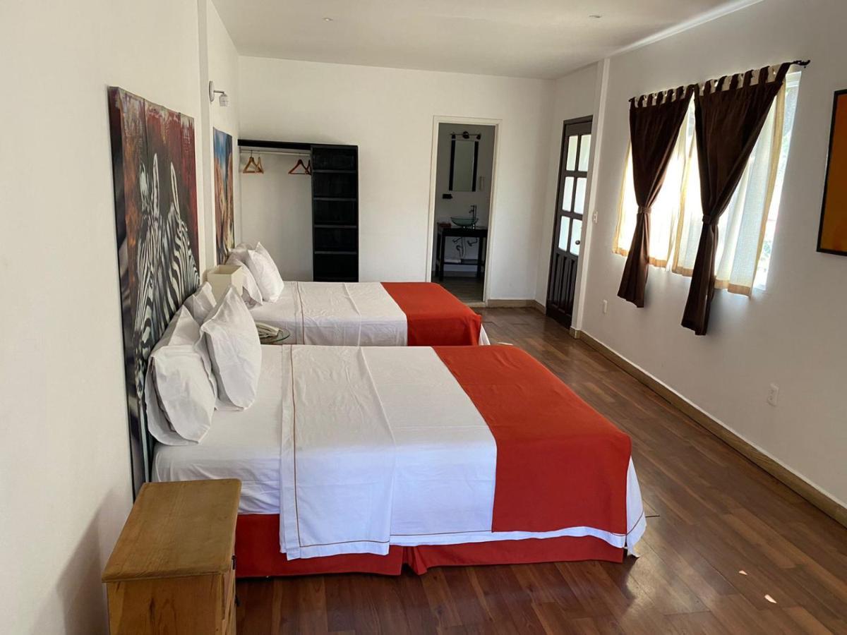 La Joyita Cuernavaca (Adults Only)酒店 外观 照片