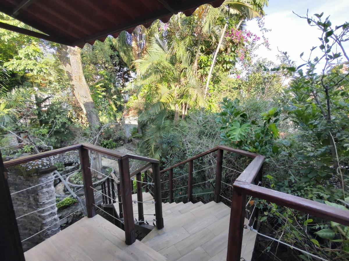 La Joyita Cuernavaca (Adults Only)酒店 外观 照片